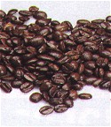 Coffee Sample Pack                                